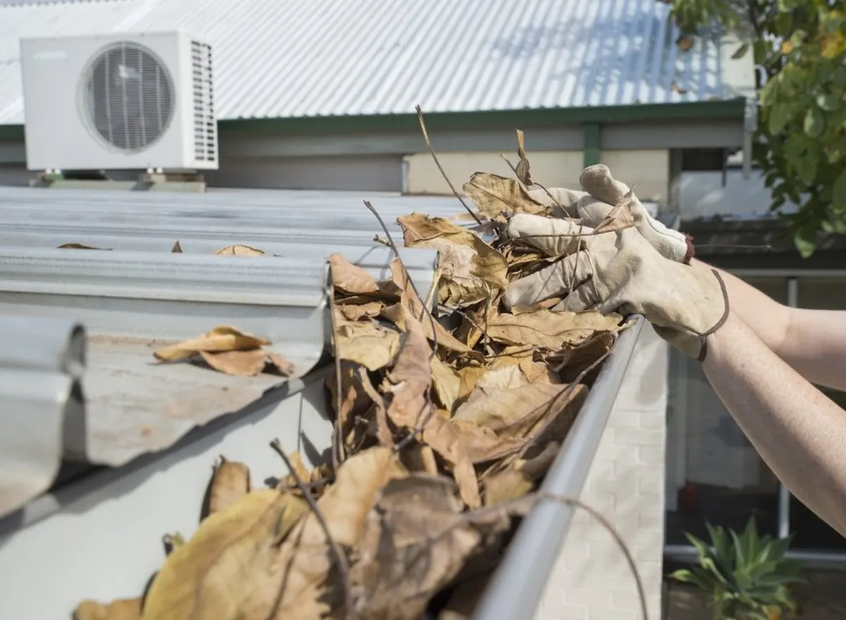 Gloved hands removing dry leaves from a house gutter
